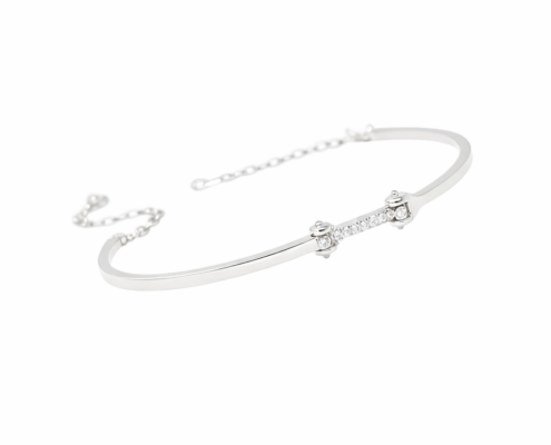 2BB62DBA-D1D6-4A3A-A9D1-70FC500D6E03